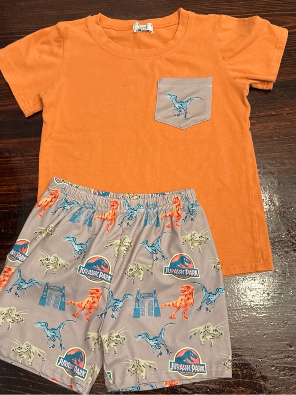 Sassy Stitches Jurassic Park Short Set